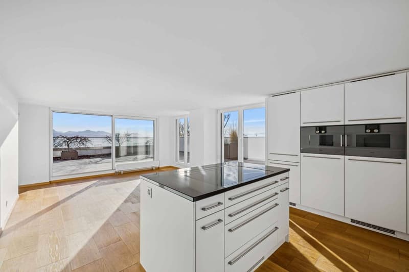 Exceptional attic with a magnificent view of the lake (10)