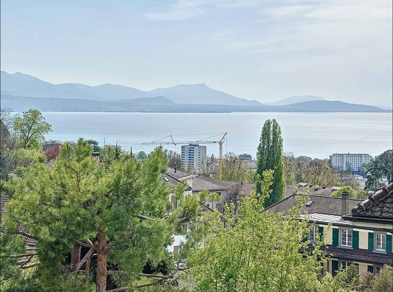 Lausanne City Center - Individual 6.5 room villa (12)