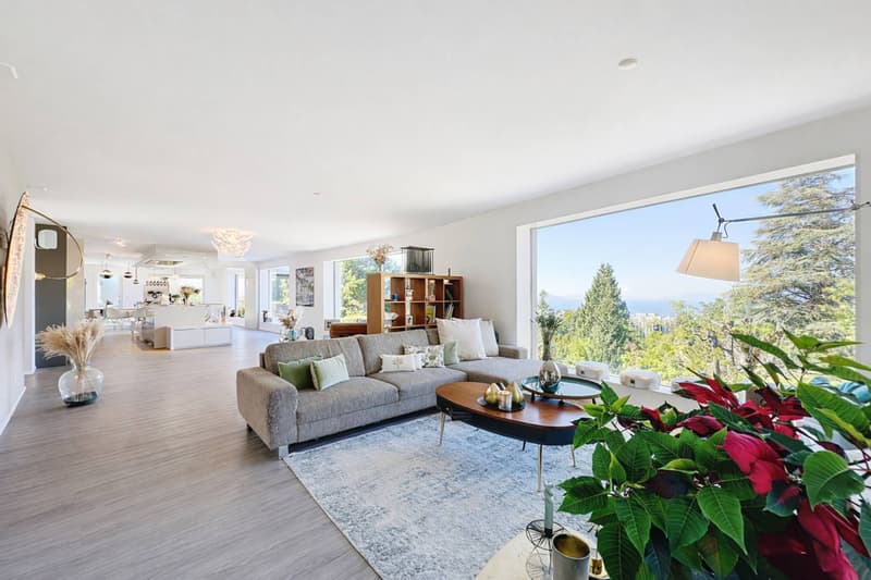 Modern villa of over 350 m² with a lake view (2)