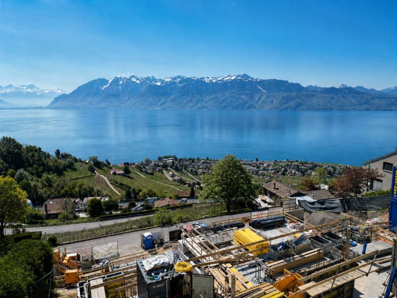 Last unit! 4.5 rooms with south-facing terrace (6)