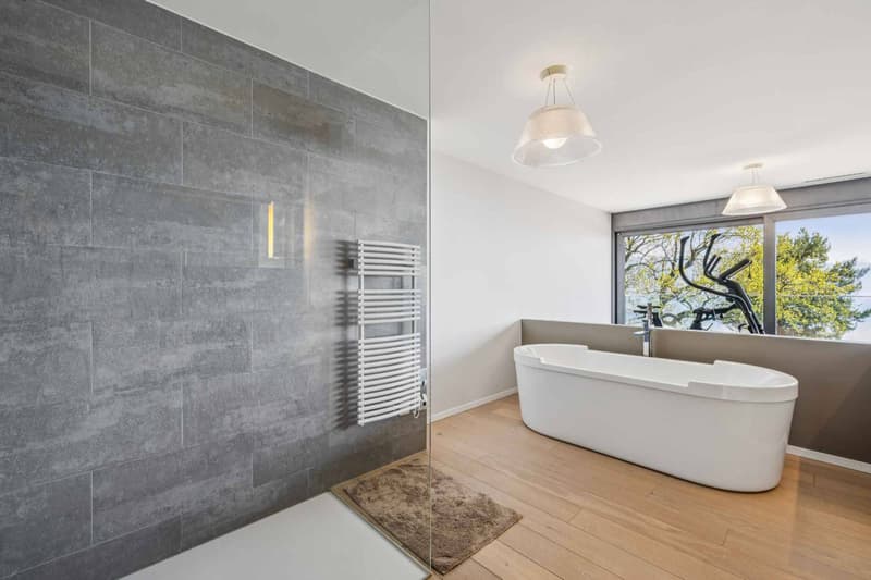 Contemporary 6.5-room duplex with private garden (7)
