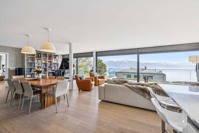 Contemporary 6.5-room duplex with private garden (3)