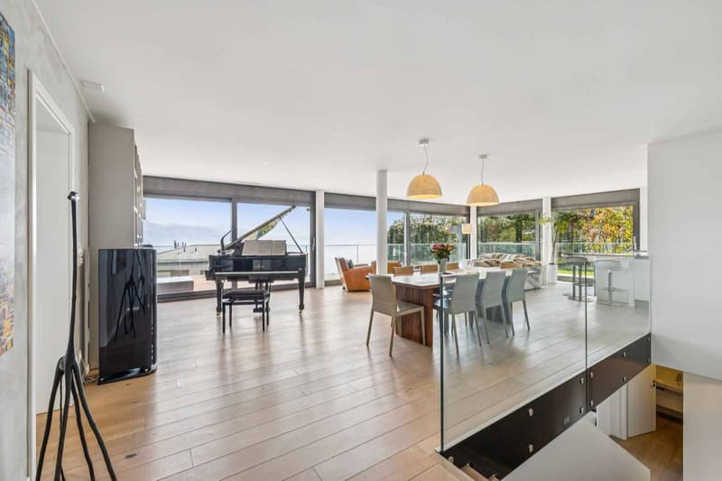 Contemporary 6.5-room duplex with private garden (8)