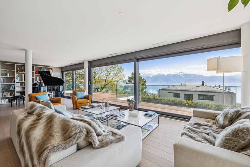 Contemporary 6.5-room duplex with private garden (2)