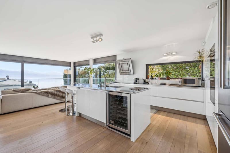 Contemporary 6.5-room duplex with private garden (4)