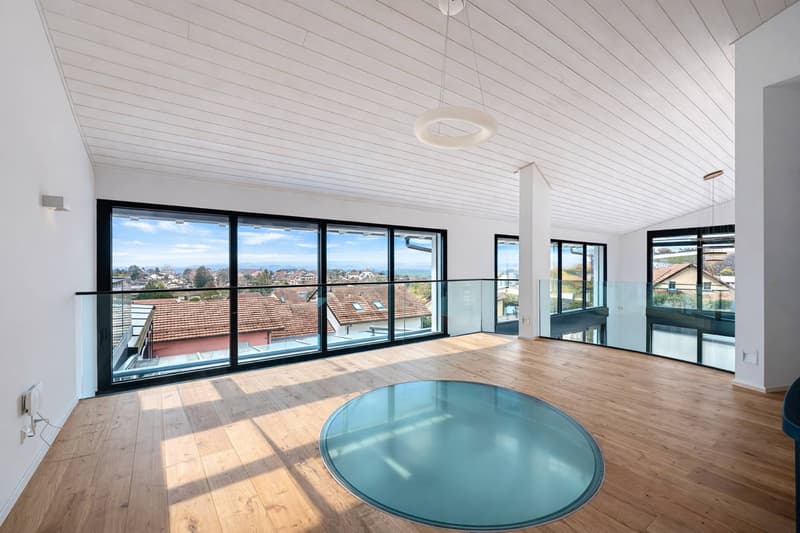 Exceptional contemporary villa at the gates of Lausanne (7)