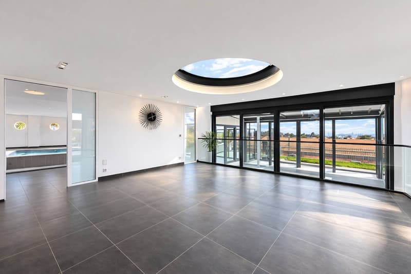 Exceptional contemporary villa at the gates of Lausanne (5)