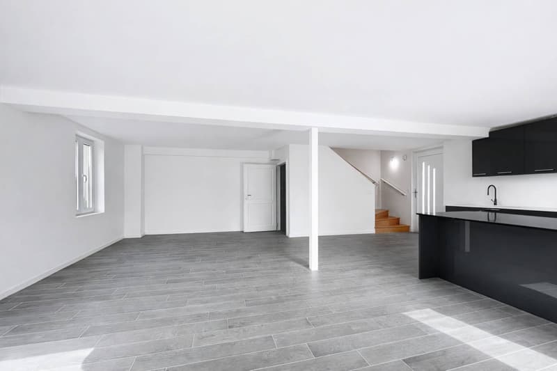 Dreieinhalb-Zimmer-Triplex - großer Garten und teilweise Seeblick (12)