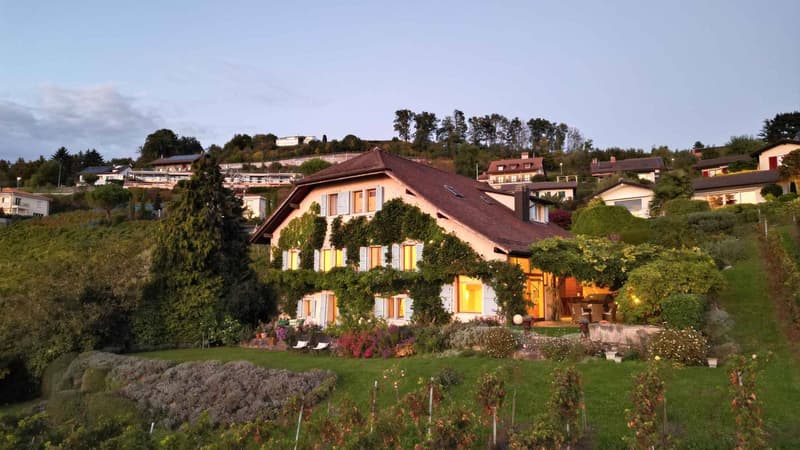 Ausnahmeweinbauernhaus mit über 450 m2 und atemberaubendem Blick (13)