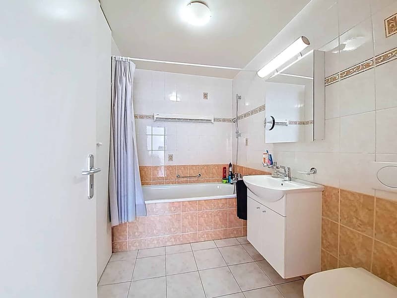 Wohnung von 119 m2 mitten im Herzen von Lausanne (11)