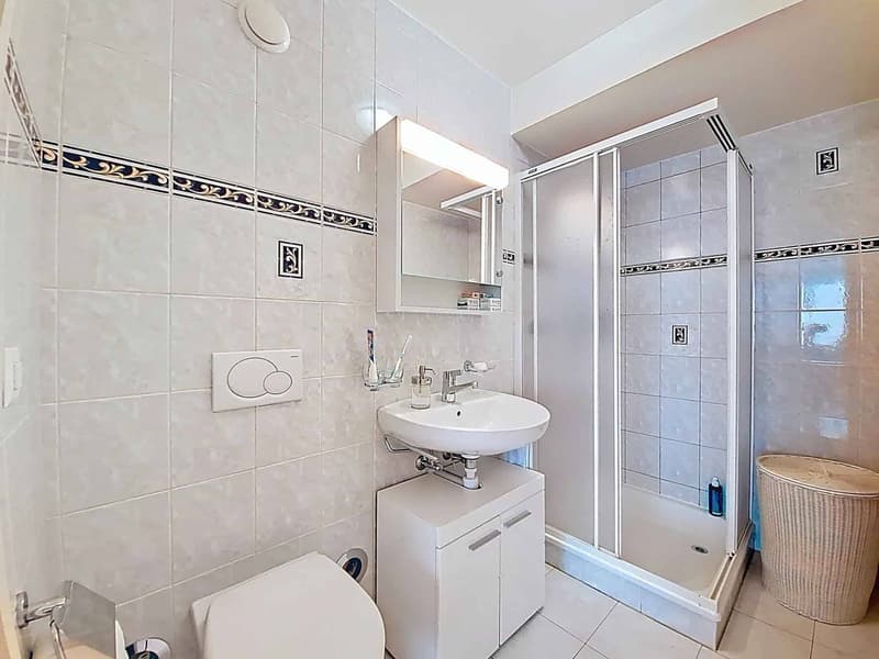 Wohnung von 119 m2 mitten im Herzen von Lausanne (8)