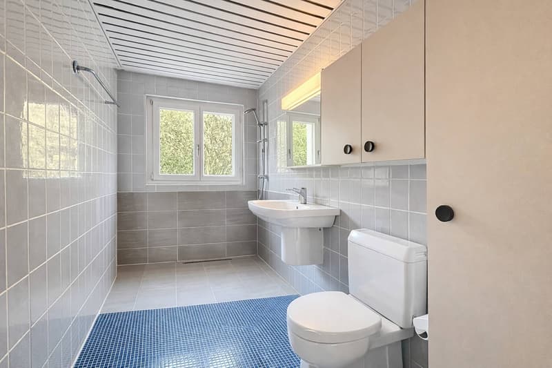 Casa architetto di charme a Romanel-sur-Lausanne (8)