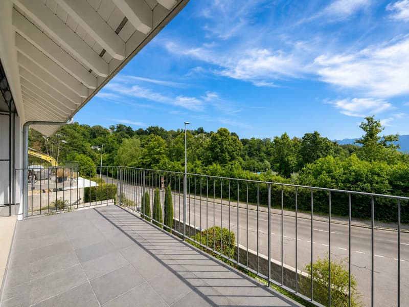 Villa a schiera contemporanea con giardini e vista aperta a Pully (8)