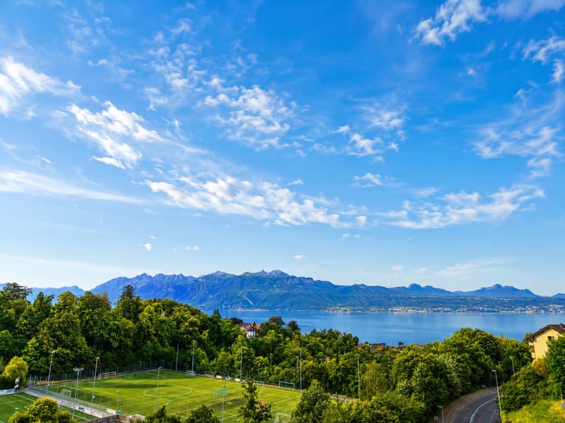Villa a schiera contemporanea con giardini e vista aperta a Pully (2)