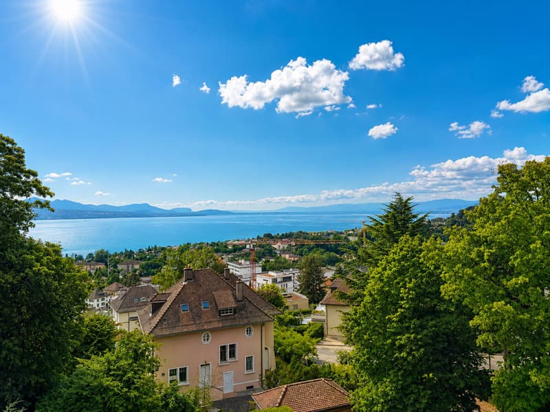 Exceptional attic with a magnificent view of the lake (5)
