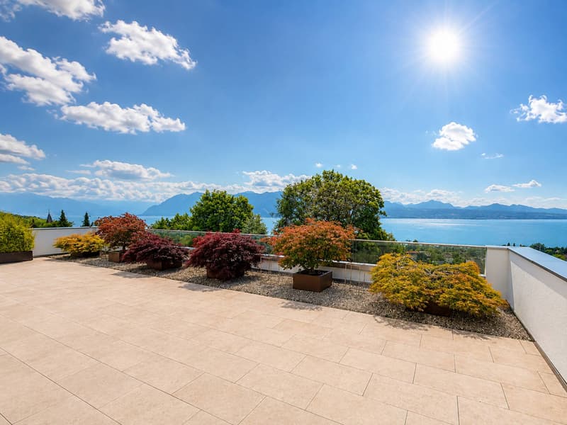 Exceptional attic with a magnificent view of the lake (1)