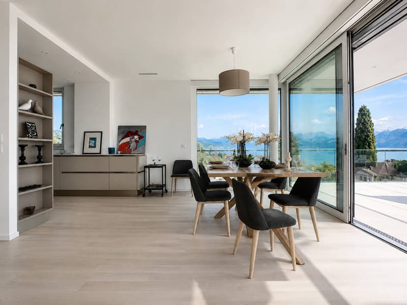 Attico contemporaneo con vasta terrazza a un attimo dal lago (2)