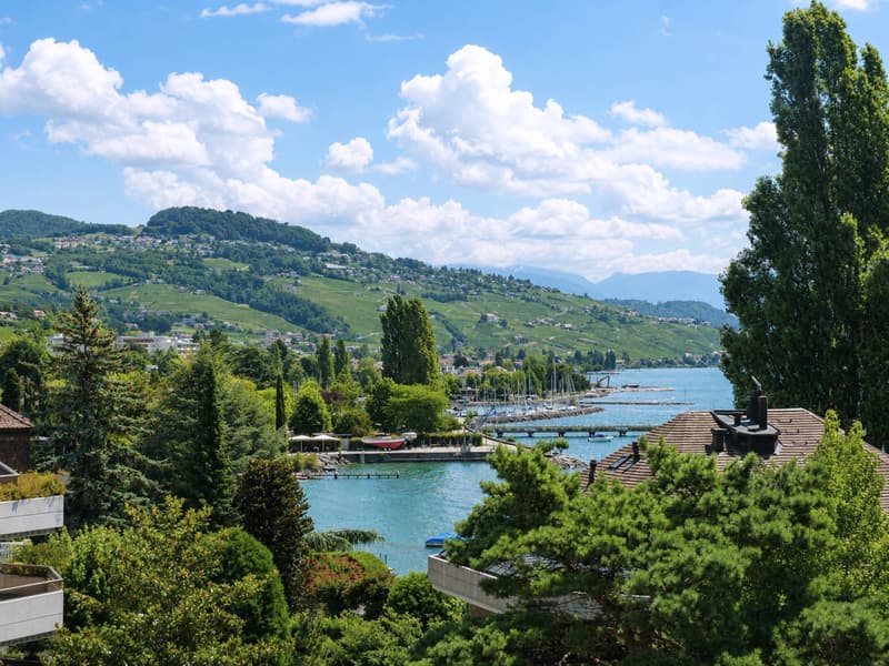 Attico contemporaneo con vasta terrazza a un attimo dal lago (6)