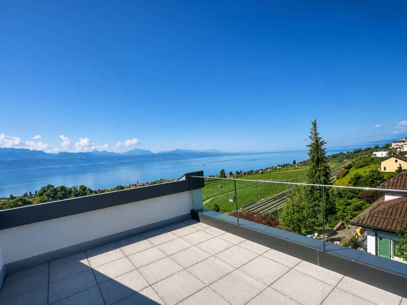 Proprietà contemporanea di 7 locali nel cuore di Lavaux (5)