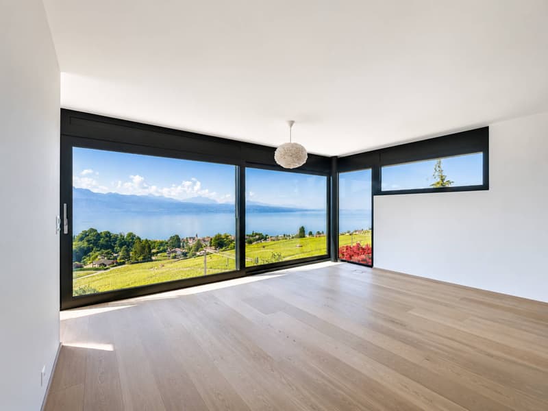 Proprietà contemporanea di 7 locali nel cuore di Lavaux (6)