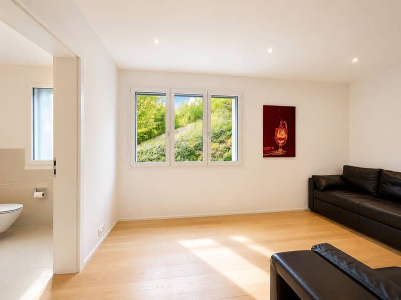 Contemporary apartment in the heart of Lavaux, with a panorama of Lake Geneva (9)