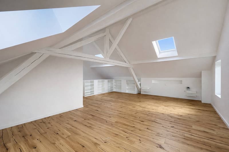 Four and a half room triplex - large garden and partial lake view (5)