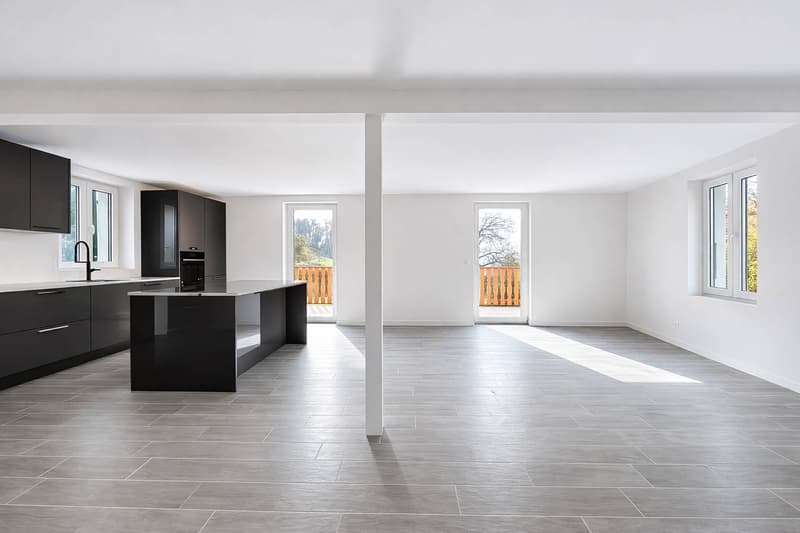 Four and a half room triplex - large garden and partial lake view (3)