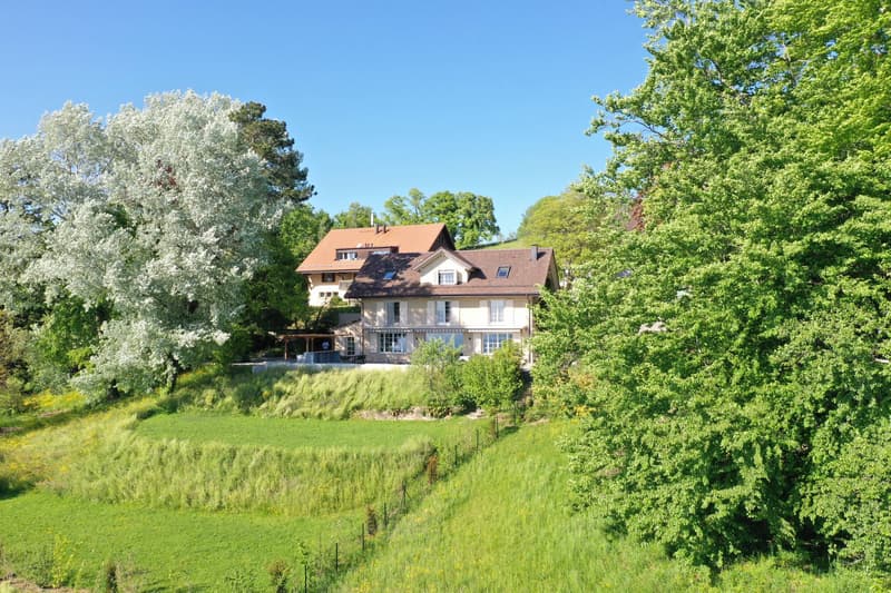 Propriété d'architecte intégralement rénovée (10)