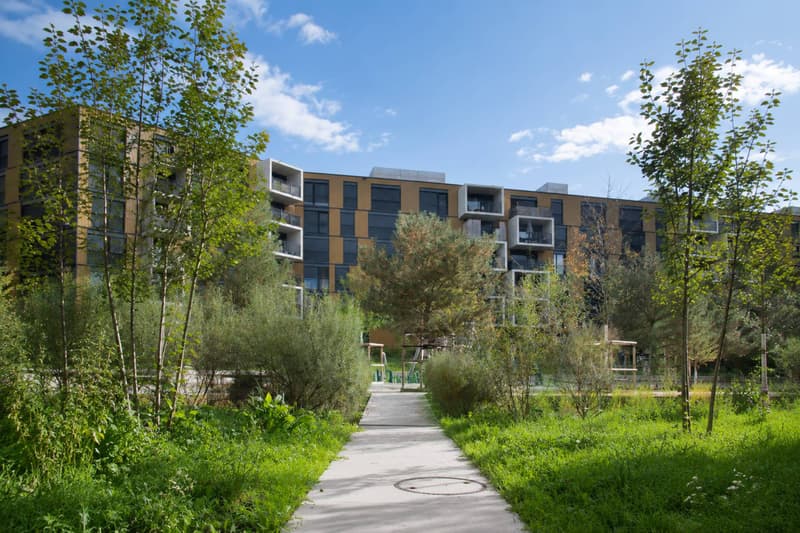 Contemporary Minergie studio in the heart of the OASSIS neighborhood (5)
