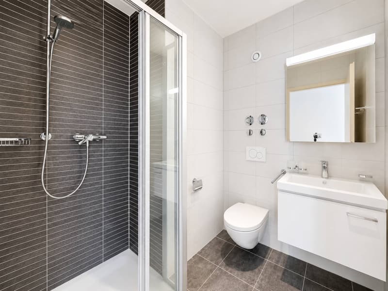 Wohnung mit 4.5 Zimmern Minergie mit 20 m² Balkon (7)