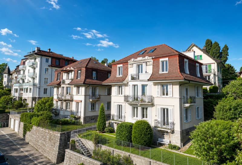Villa La Fleur des Alpes - Quartier sous-gare (10)