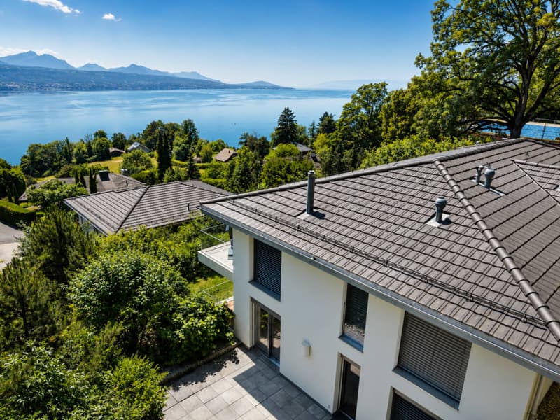 Appartement contemporain au cur du Lavaux, avec panorama sur le Léman (2)