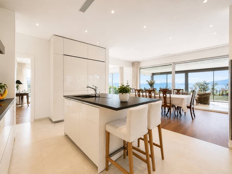 Appartement de standing de plus de 360 m2 avec vue sur le lac (5)