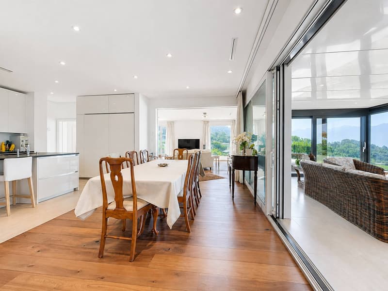 Appartement de standing de plus de 360 m2 avec vue sur le lac (6)