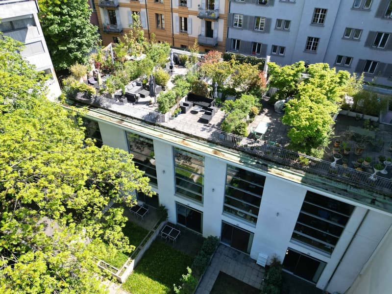 Opportunité rare : Loft avec rooftop au centre-ville (1)