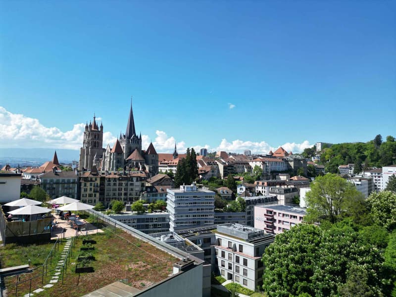 Opportunité rare : Loft avec rooftop au centre-ville (2)
