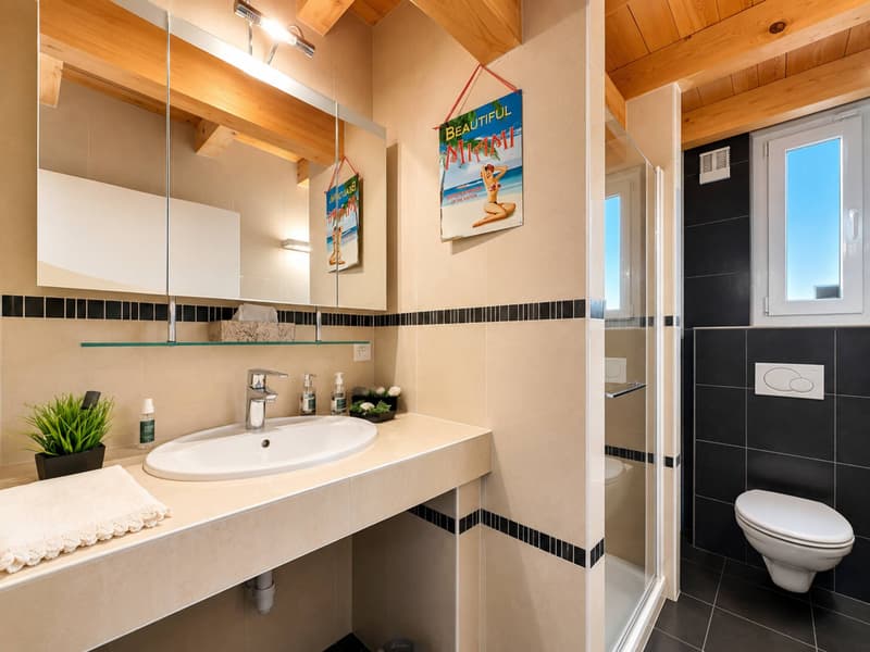 appartement en attique de 210 m2 (13)