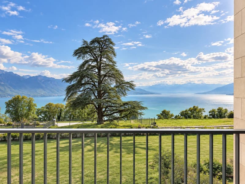 Au coeur du Lavaux - appartement de standing de 3.5 pièces avec vue panoramique (10)