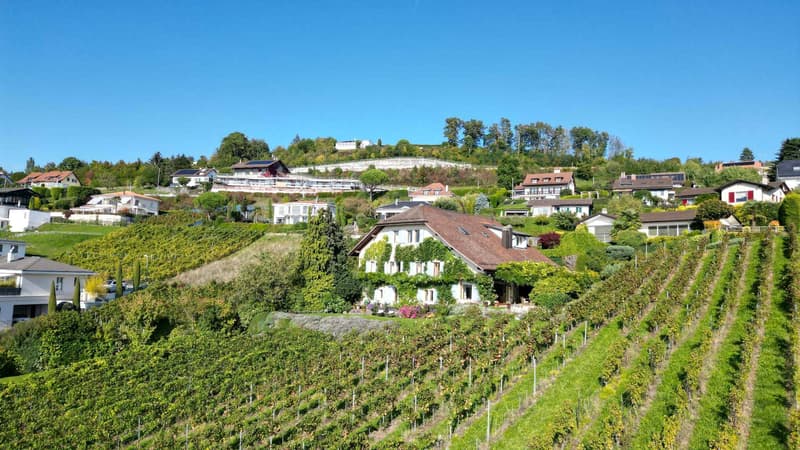 Demeure vigneronne d'exception de plus de 450 m2 avec vue imprenable (12)