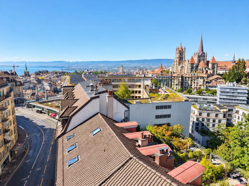 Opportunité rare : Loft avec rooftop au centre-ville (2)