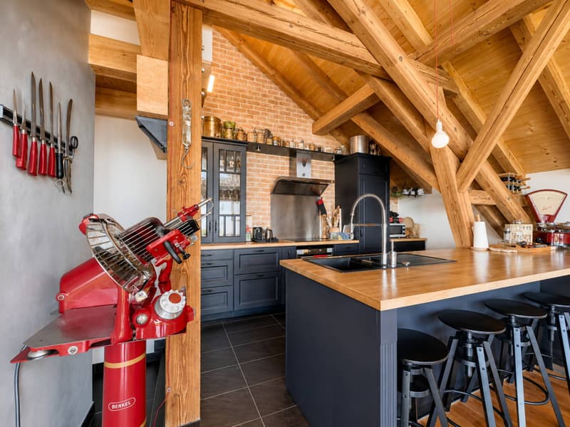 appartement en attique de 210 m2 (7)