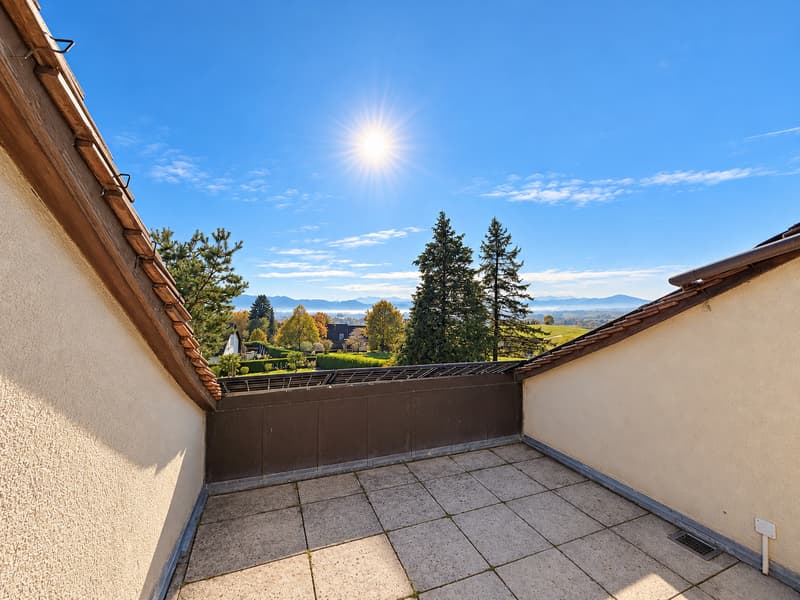 Propriété de Maître à la vue sur le Léman et le Jura (9)