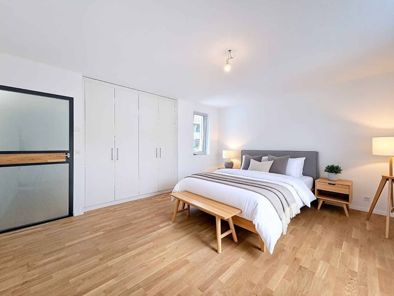 Dernier lot - Attique de 5.5 pièces avec mezzanine (5)