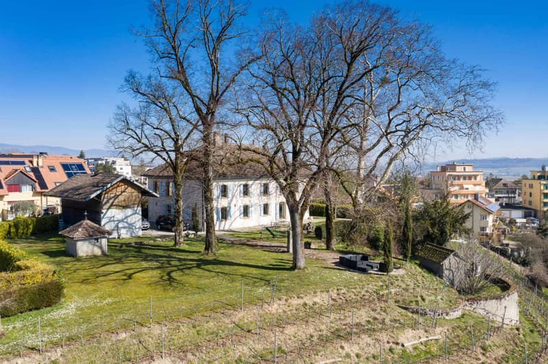 Bourgeois house with vineyard (13)