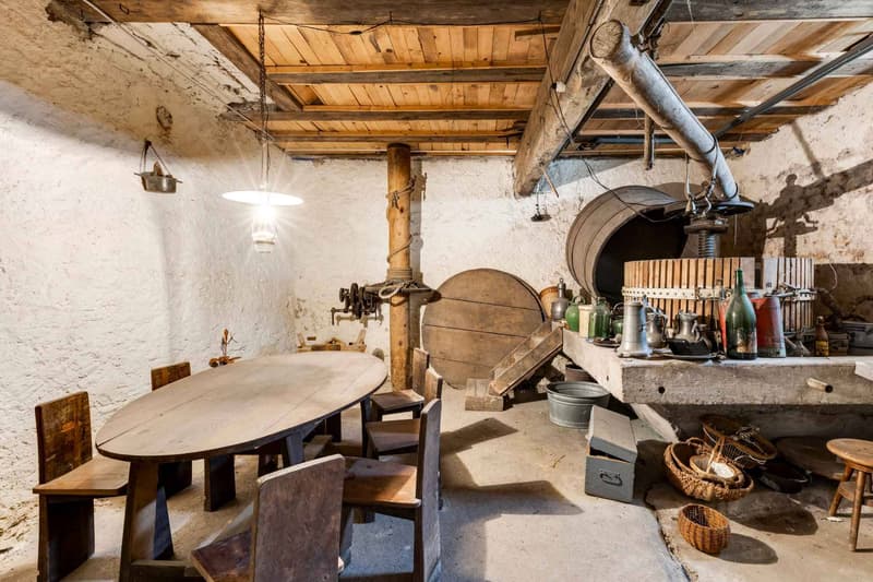Bourgeois house with vineyard (10)