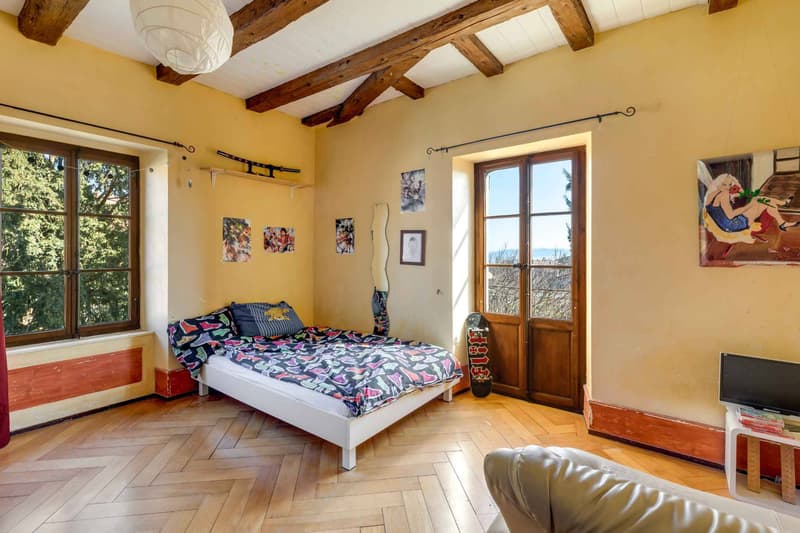 Bourgeois house with vineyard (4)
