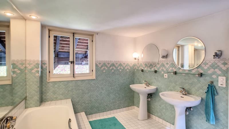 Large character house with potential for expansion (9)