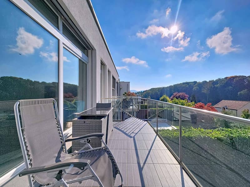 Casa a schiera di 5.5 locali con giardino e vigneti (11)