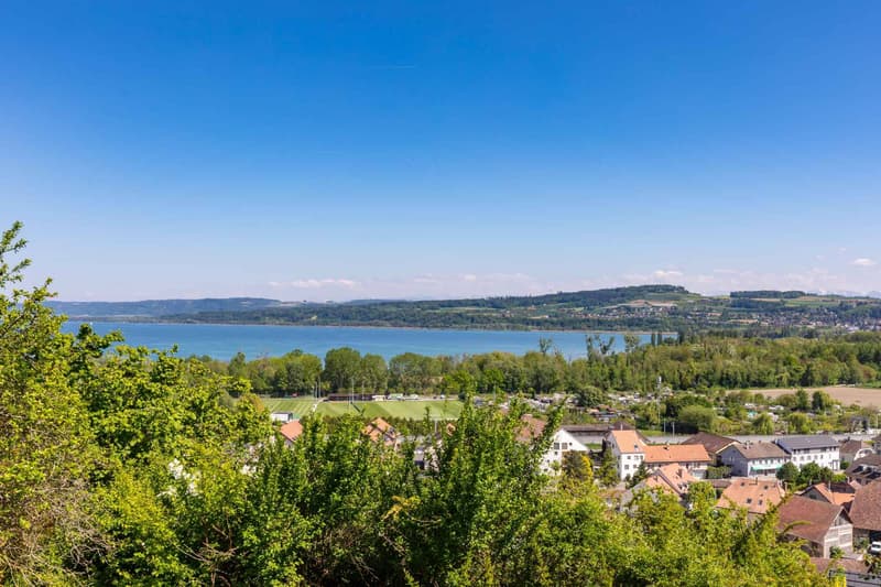 Character villa with lake view (10)