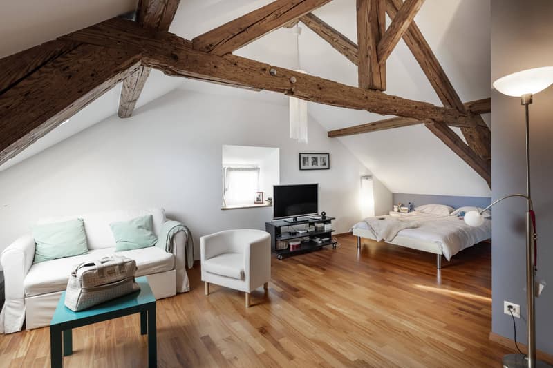 Beautiful village house with 3 apartments, terrace and garden (8)